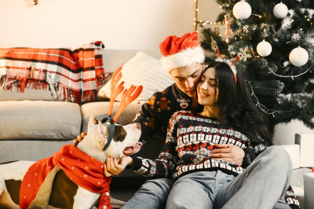 Жаңа жылға дайындық! Жаңа жылға дайындық!